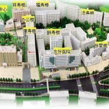 廣州善美養老咨詢服務公司 以專業教育咨詢服務引領養老產業創新與發展